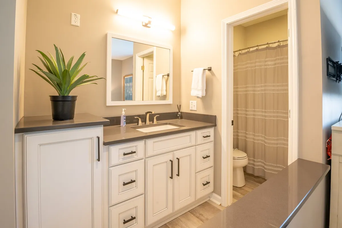 A calm, organized ensuite bathroom with a modern vanity, large mirror, potted plant, and a step-in shower area. The scene suggests quiet moments of self-care and supports the ensuite feature for both suites.